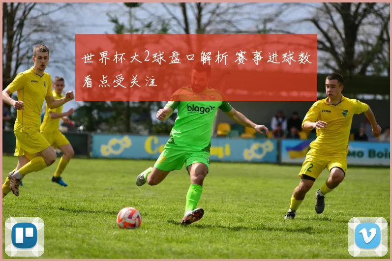 世界杯大2球盘口解析 赛事进球数看点受关注