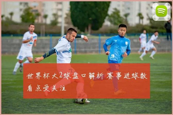 世界杯大2球盘口解析 赛事进球数看点受关注